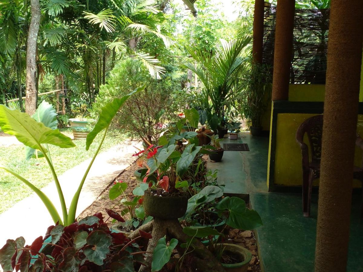 Sigiri Neo Homestay Sigiriya Exterior foto