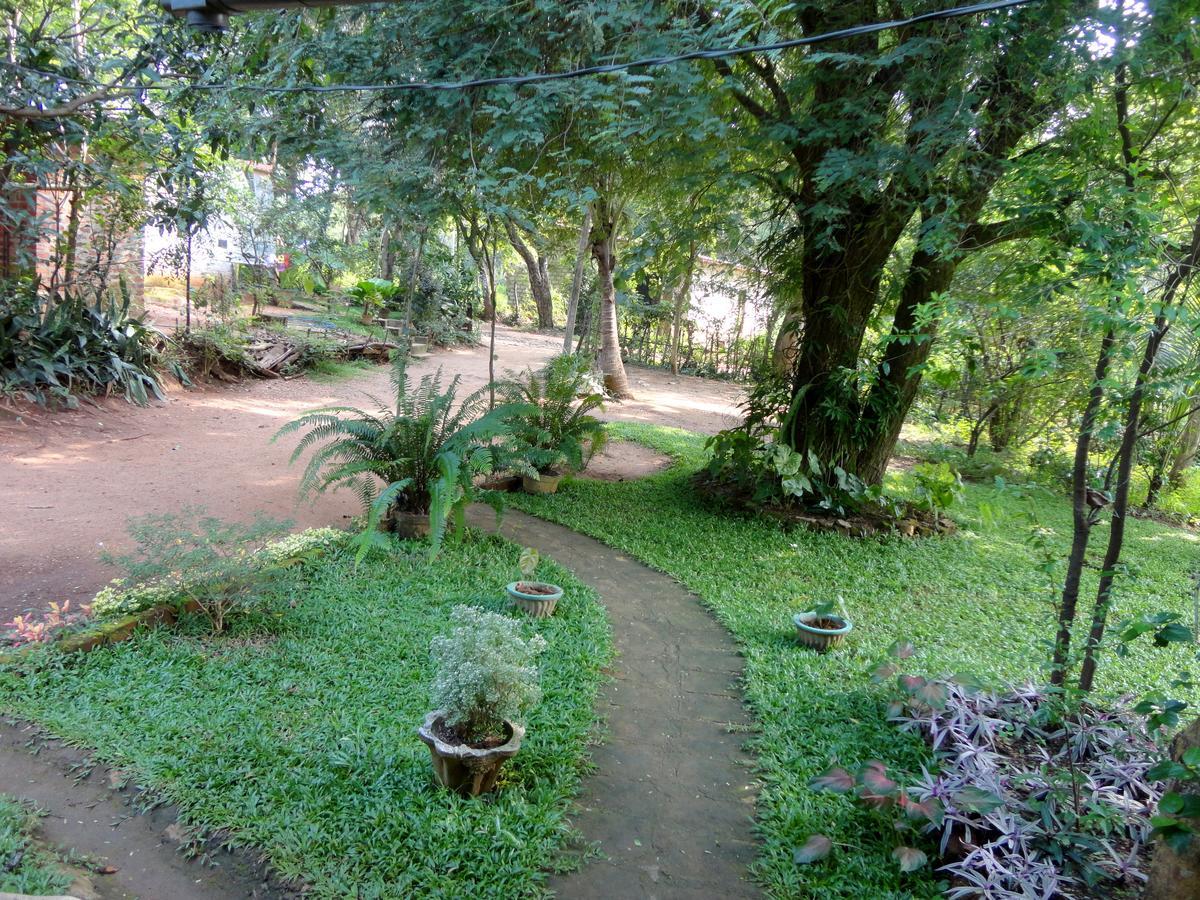 Sigiri Neo Homestay Sigiriya Exterior foto